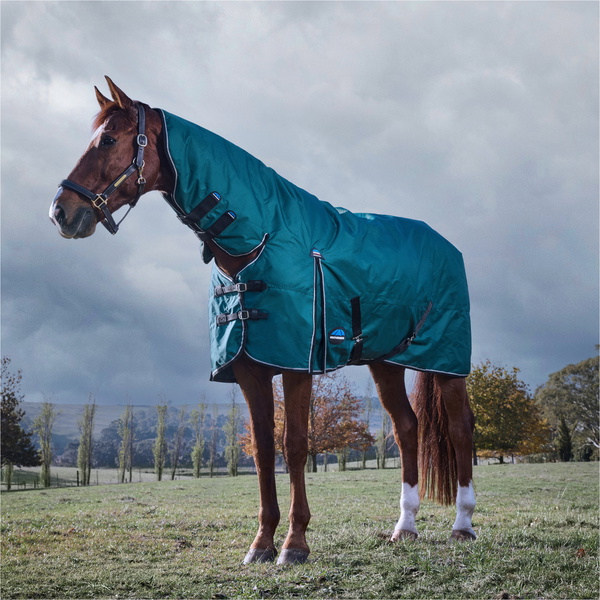 2025 WeatherBeeta Comfitec Classic Turnout Combo 1029069 - Forest Green